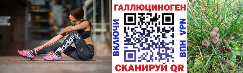 Купить  Сольцы  Псилоцибиновые грибы Cubensis 